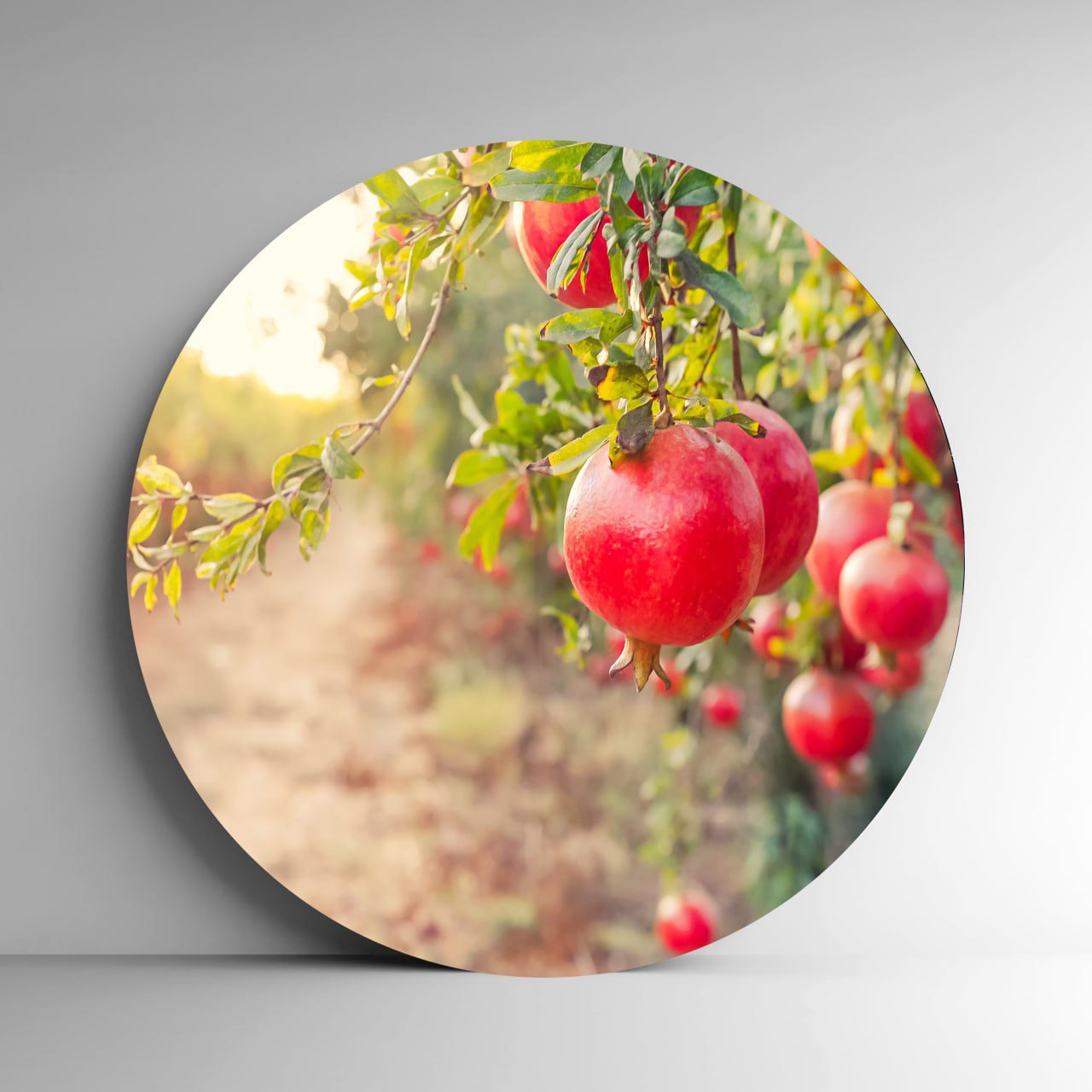 تابلو بوم فنگ شویی آیلاموند - طرح میوه های انار تابلو بوم فنگ شویی آیلاموند - طرح میوه های انار