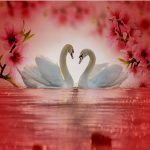 تابلو بوم فنگشویی آیلاموند - طرح دو قو1