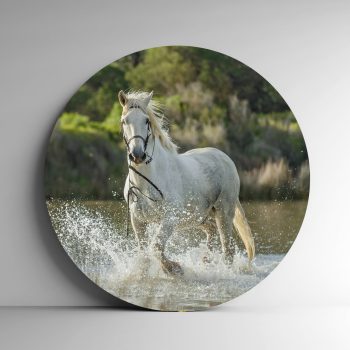 تابلو بوم فنگ شویی آیلاموند - طرح اسب سفید در آب1